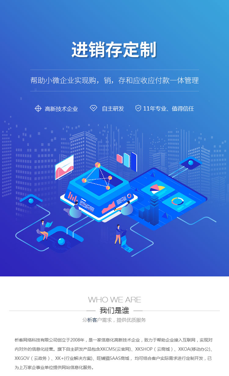 进销存系统定制：打造企业的高效运营工具